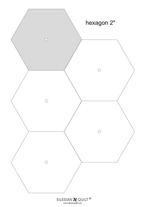 hexagom 2 paper 1