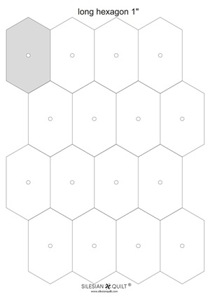 longhexagon 1 paper 1